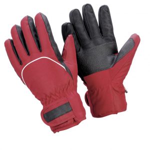 SKI GLOVES